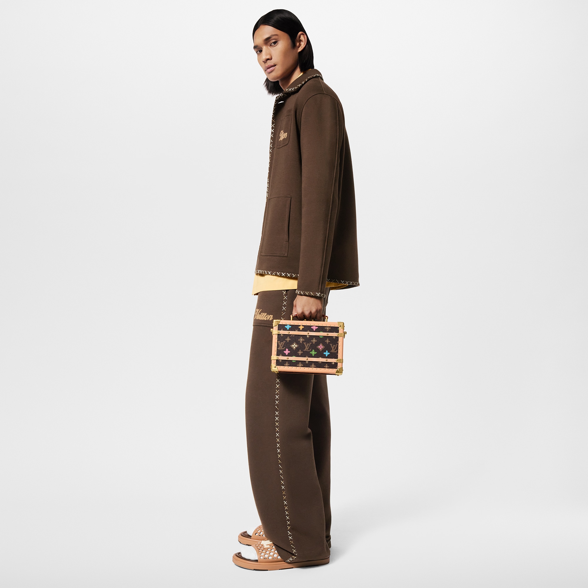 Handle Trunk Monogram Other - Hardsided | LOUIS VUITTON